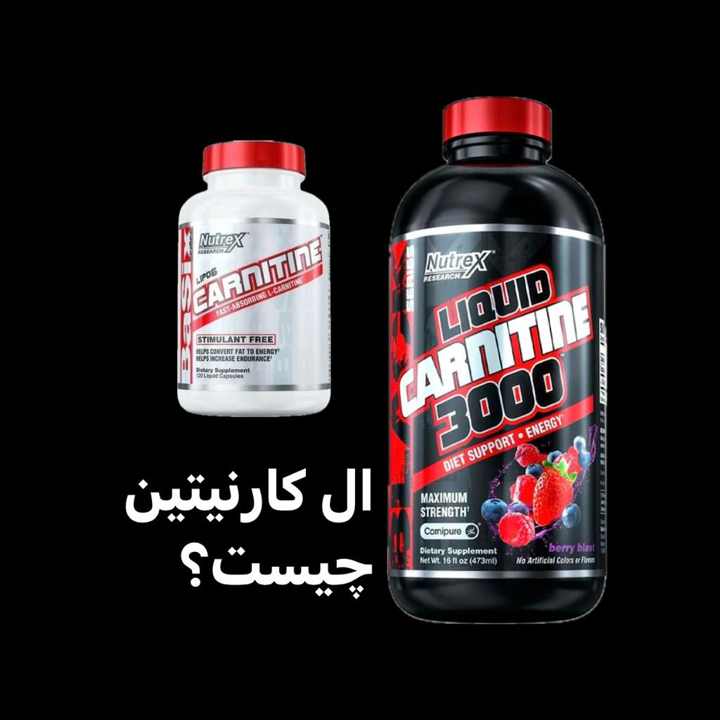 ال کارنیتین چیست؟